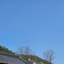 16 | 예천콜택시 장거리 이동도 편안했던 예천개인콜택시 경북16바6428 이용 후기