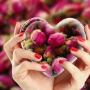 같은마음 이미지