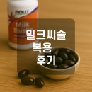 밀크씨슬 효능과 복용시간, 실제 한달 복용 후기