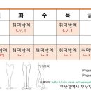 12월 시간표 - 서면 발레, 부산발레, 성인발레, 취미발레 이미지