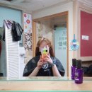 (주)블루칩스 이미지