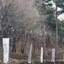 더시에나CC(대중형 18홀) | 여주골프장 더시에나 벨루토cc 개막전 다음날 라운딩 후기