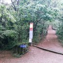 서봉산 산림욕장 1 이미지