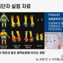 슈올즈구로