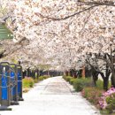 양평1동-4 이미지