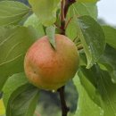 두루봉농원 이미지