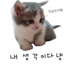 스타벅스 거제옥포DT점