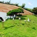 서산버드랜드 이미지