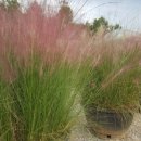 강산자연농장 이미지