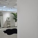 청라홈마트 | 청라에서 모공 고민 끝! 새결에스테틱 청라모공관리 후기✨