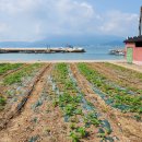 금화공인중개사사무소 이미지