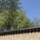 철이네포차 | 종로 3가역 포장마차 술집 야장 철이네 포차 위치 시간 예약 후기