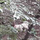 병태농장 이미지