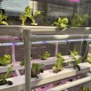 ㈜정진팜 이미지