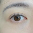 진해 속눈썹 바비뷰티｜자은동·석동 속눈썹펌 블랙틴트로 또렷한 눈매 후기