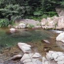 이른아침민박 이미지