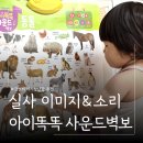 똑똑 | 10개월 11개월 아기 아이똑똑 사운드벽보 놀이 후기ㅣ동물 한글 실사이미지 소리 키즈비전 키비몰