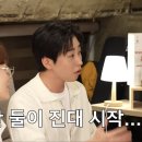 낭만돼지 이미지