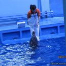 장생포고래박물관 이미지