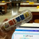 앙 깨물어주고싶은 교생후기