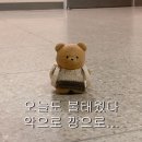 스프린트 PT | 20대 당뇨일기 - 선릉PT 로그짐선릉점에서 신스프린트 피로골절 재활 후기