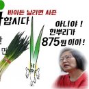 대파 785원 논란 이수정 발언 이미지