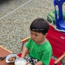 광덕산관광농원 호두나무캠핑장 | [영동여행]충북캠핑장추천 영동캠핑장추천 아이랑가기좋은곳 '레인보우 관광농원 캠핑장'