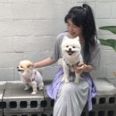 예쁜동물나라