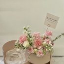 마이플레르