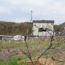 미석농장 이미지