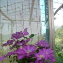 가람농원 이미지