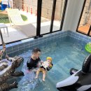 드래곤 키즈 풀빌라 펜션 이미지