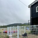 퍼스트 독 스쿨 이미지