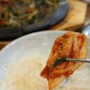 수리산두꺼비 이미지