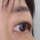 [일산속눈썹] 라벨라뷰티 속눈썹펌 후기~♡