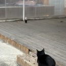 W8_촬영예복투어(1)/대구 ESATTO SARTORIA(이자또) 예복 투어 후기, 예복투어 실패 안하는 정보와 꿀팁...
