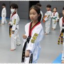 브레인박사 태권도장 이미지