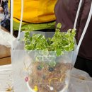 수분경로당 이미지