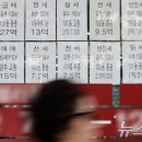 올라공인중개사사무소 뉴스1