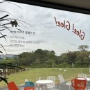 🚗 주차부터 커피까지 완벽한 유성 카페, 글리하우스 4번째 방문 후기!(내돈내산)