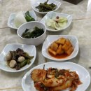 십일남매 이미지