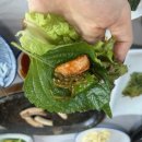 해변짚불곰장어 이미지