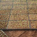 효경농장 이미지