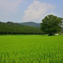 수일농장 이미지