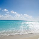 높은음자리 이미지