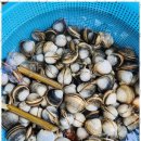 힐링캠프 펜션 이미지