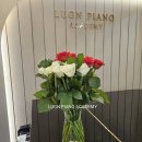 엘가음악교습소 이미지