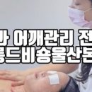 살롱 드 비숑 이미지
