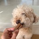 에이케이사이언스 이미지
