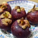 웜트리하우스(주) 이미지